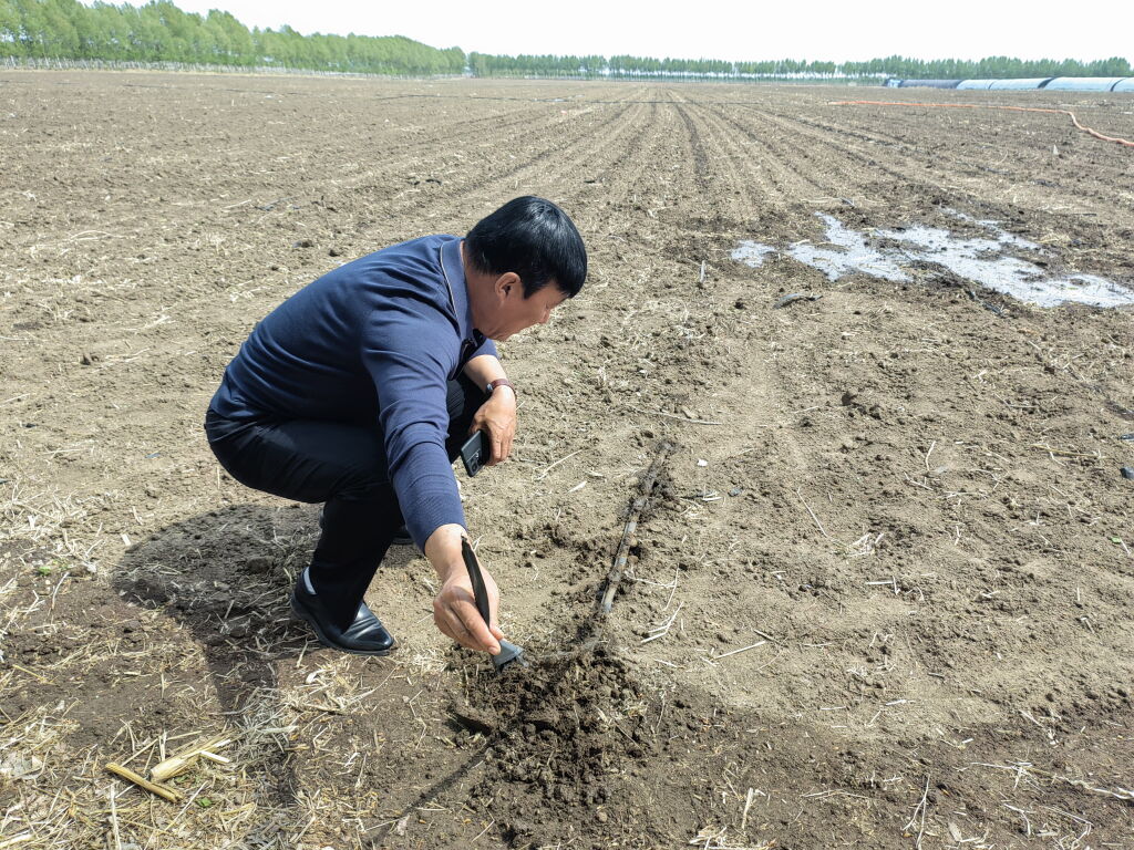 新华全媒+丨吉林：护好、用好“耕地中的大熊猫”