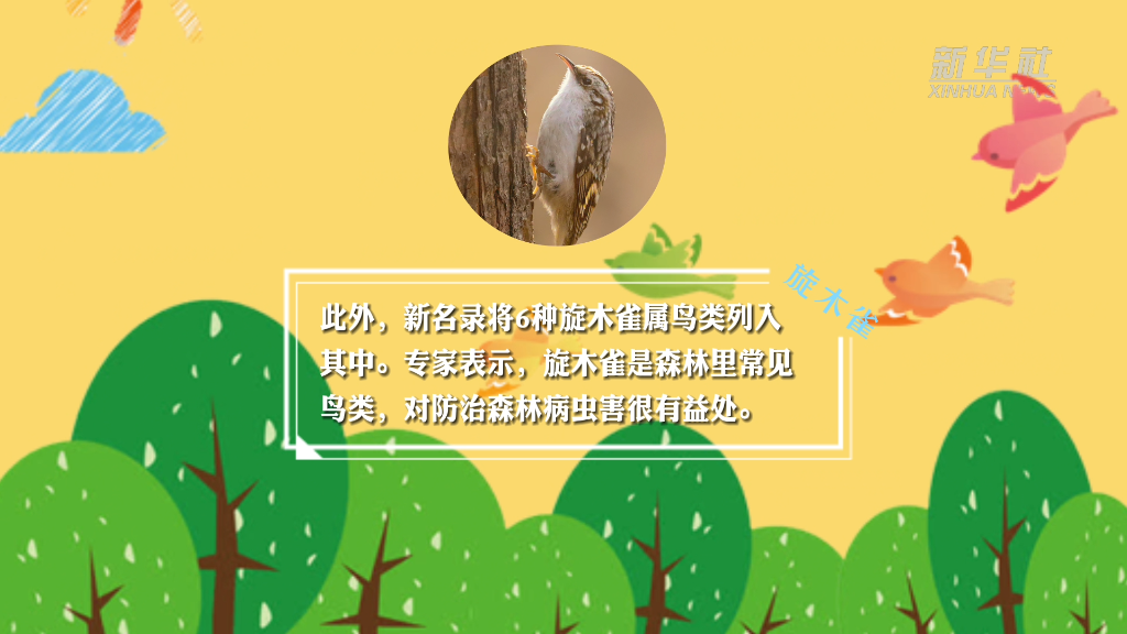 新华全媒+丨一起围观出入新“三有”名录的那些“小可爱”！