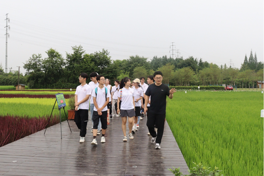 川北医学子三下乡——千年夙愿今梦圆，乡村振兴谱新篇