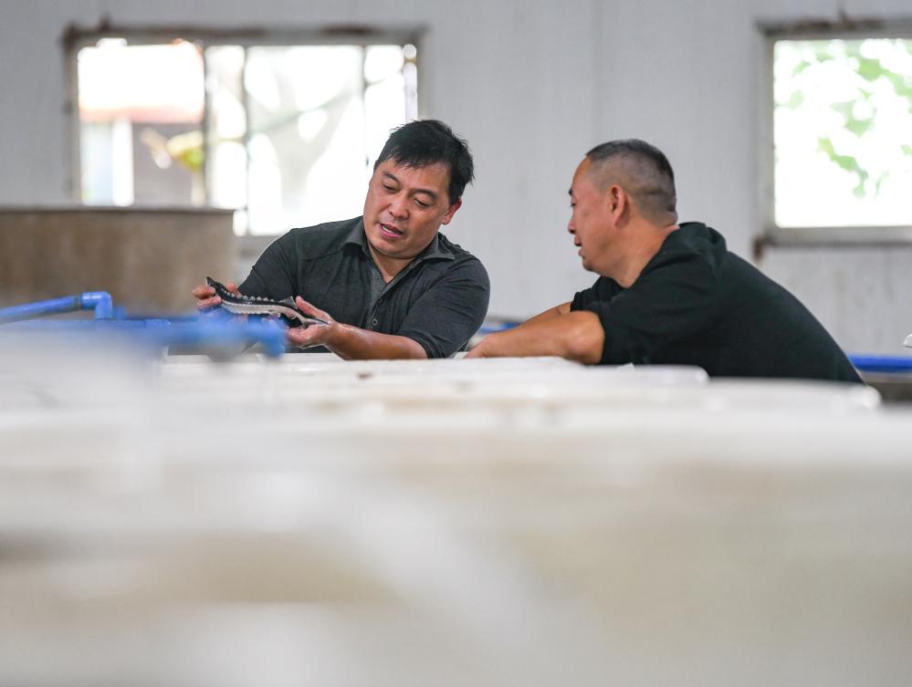 新时代中国调研行·长江篇丨“水中大熊猫”的“奶爸”