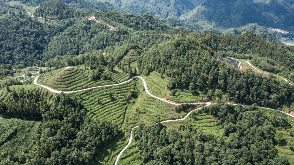贵州：建好农村公路 为乡村振兴提速