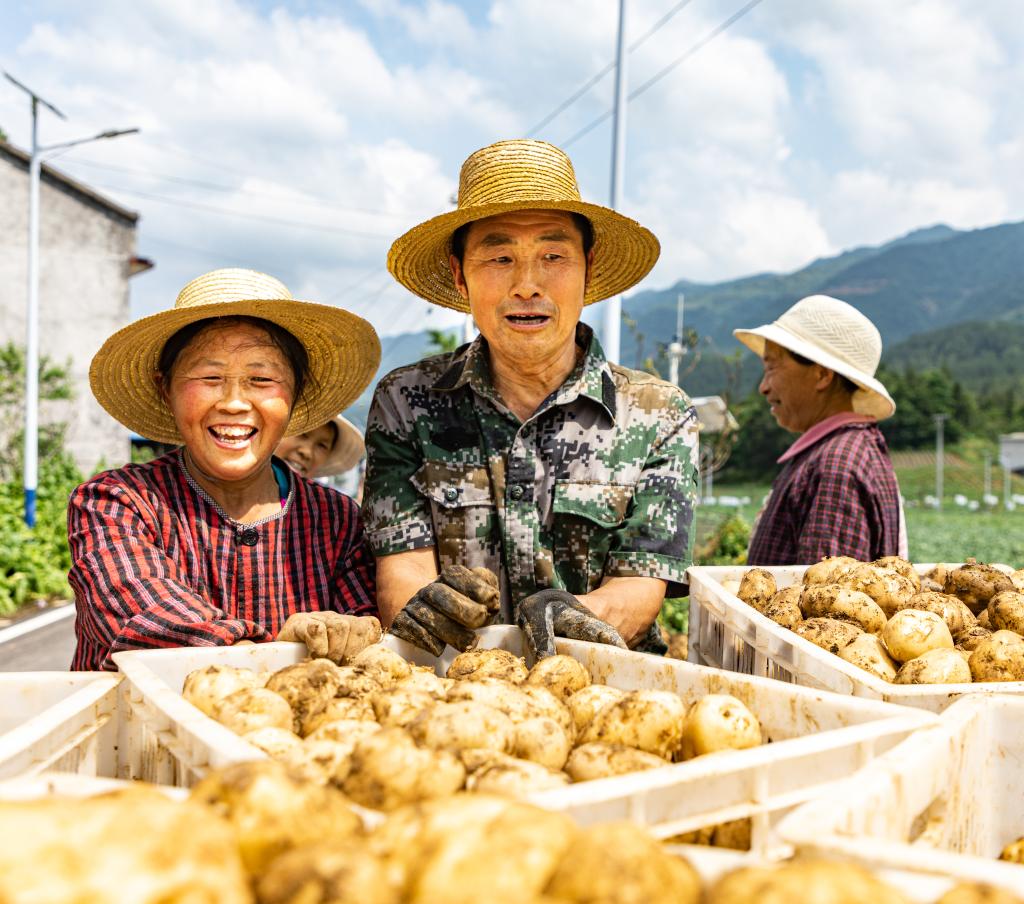 重庆巫溪：高山村落的乡村振兴剪影