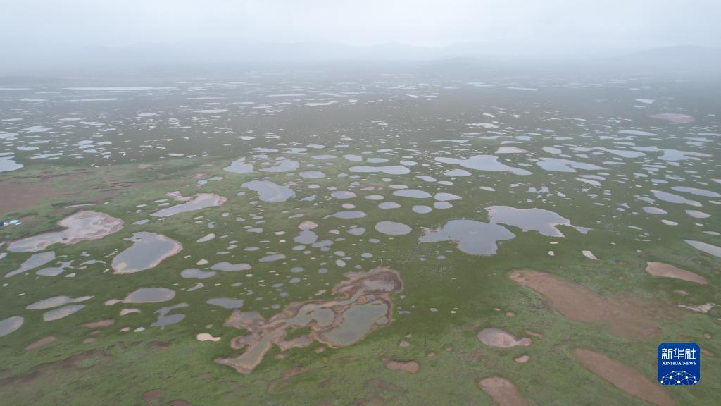 湿地碳储量估算填补长江源科研空白