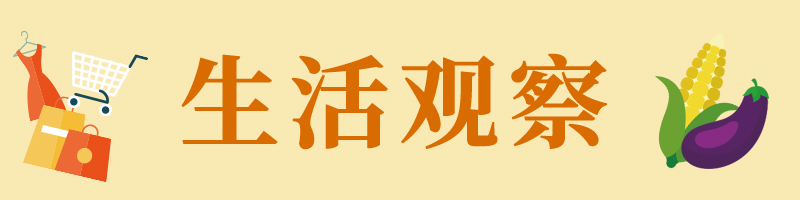 生活观察丨如何让“研学游”变“研学优”