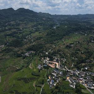 新时代中国调研行·长江篇丨山村迎来山外客——贵州乌江沿岸乡村旅游观察