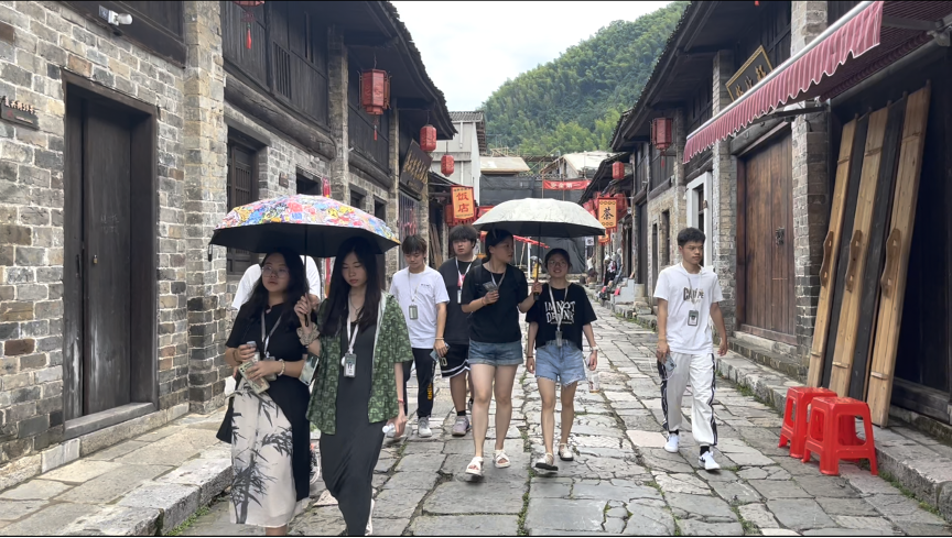 听涛团队：赋能产业发展，助力乡村振兴
