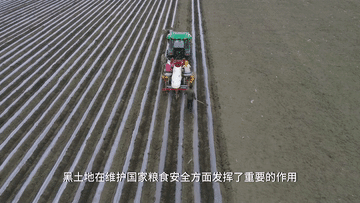 “洋记者”探访东北黑土地 揭秘“耕地中的大熊猫”