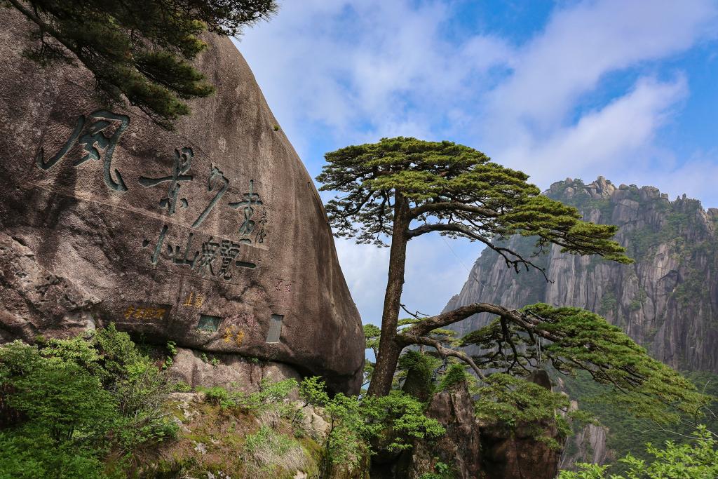 上海旅游节期间多地联动促进文旅消费