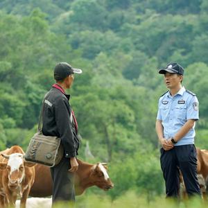 甘肃：关山深林的野生动物守护者