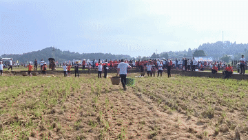 追光丨庄稼汉变身“运动员” “村运会”趣味比赛迎丰收