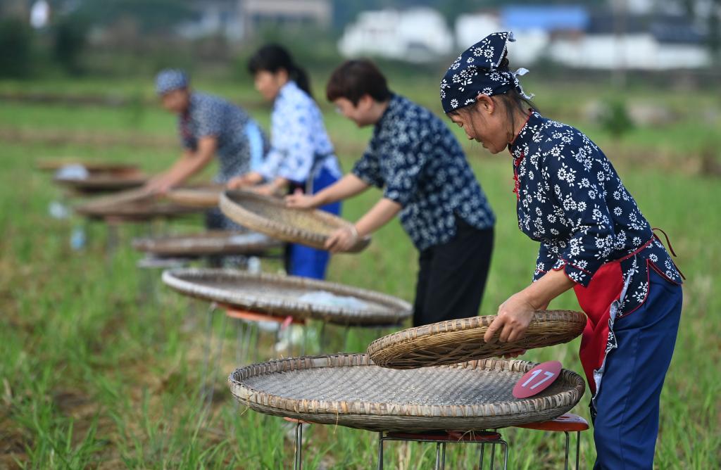 追光丨庄稼汉变身“运动员” “村运会”趣味比赛迎丰收