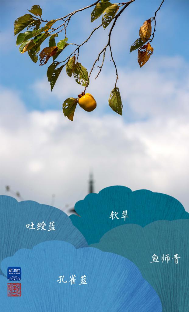 国宝画重点丨金气秋分，结硕果、常喜乐