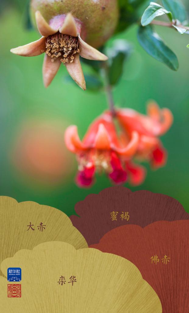 国宝画重点丨金气秋分，结硕果、常喜乐