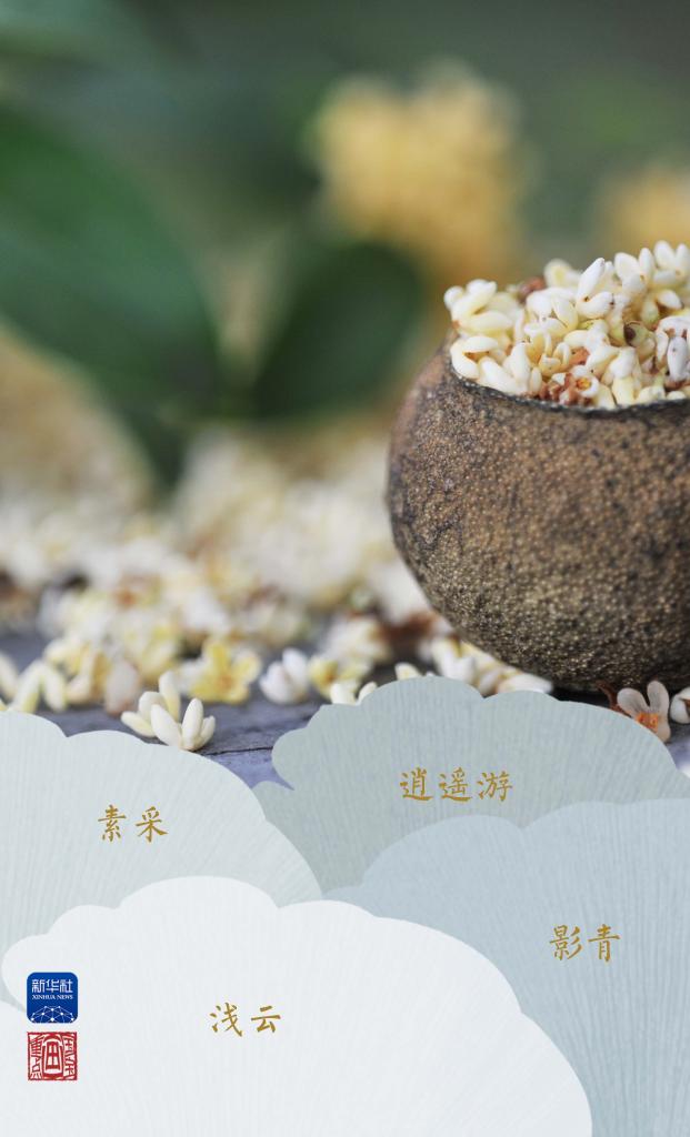 国宝画重点丨金气秋分，结硕果、常喜乐