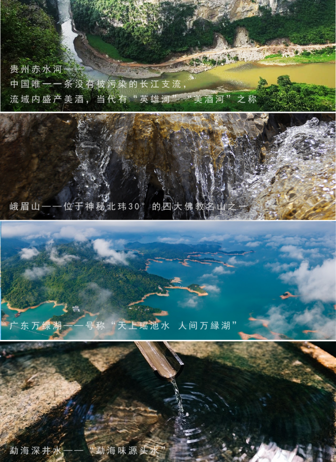 普洱传世新篇 | 解读非遗熟茶密码
