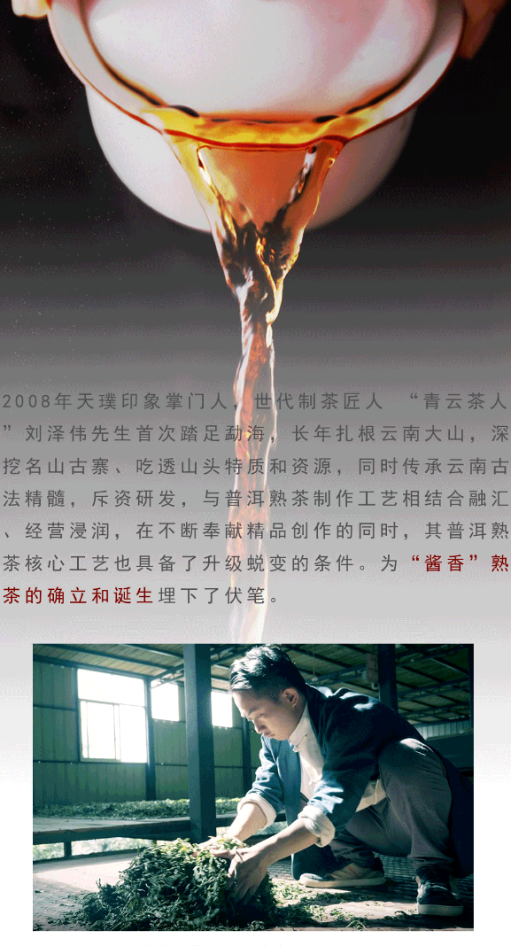 普洱传世新篇 | 解读非遗熟茶密码