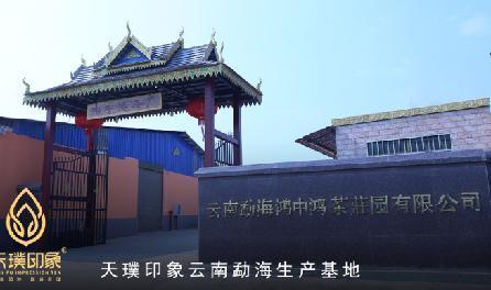 普洱传世新篇 | 解读非遗熟茶密码