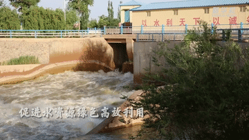 新时代中国调研行·黄河篇丨千年河套灌区焕新彩