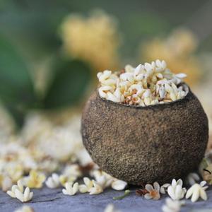 中秋赏桂，你可知桂花也是一味好药？