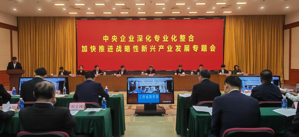 深化央企专业化整合 国务院国资委提出“四个聚焦”