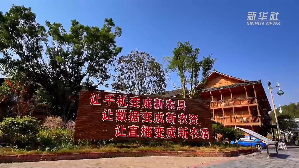 高质量发展调研行｜开新局：手机变成“新农具” “新媒体+产业”助力乡村全面振兴