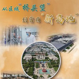 高质量发展·蹲点日记丨从区域“桥头堡”到营商“新高地”