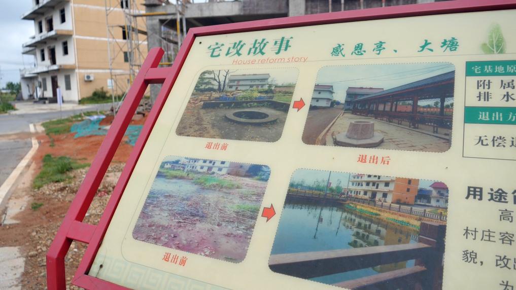 乡村行 看振兴｜乘龙村的美丽蝶变