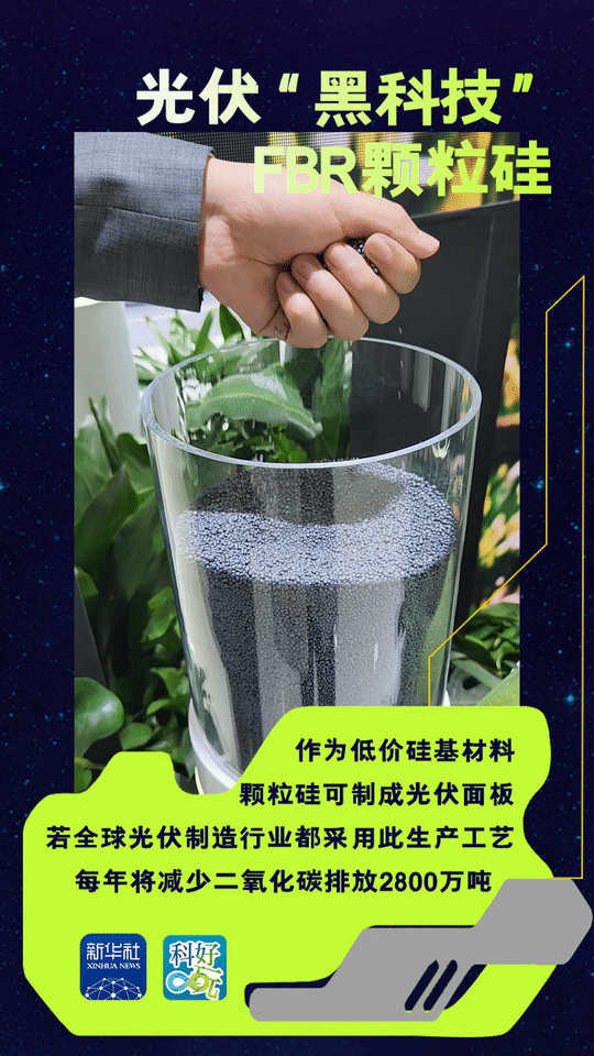 科好玩丨从进博“绿科技”看低碳生活