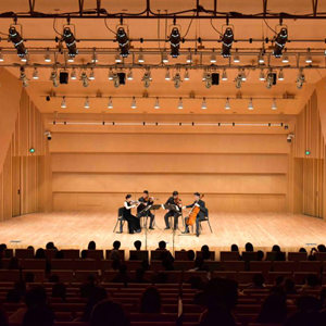 成都街头走一走：好戏连台 文化展演市场有多火？