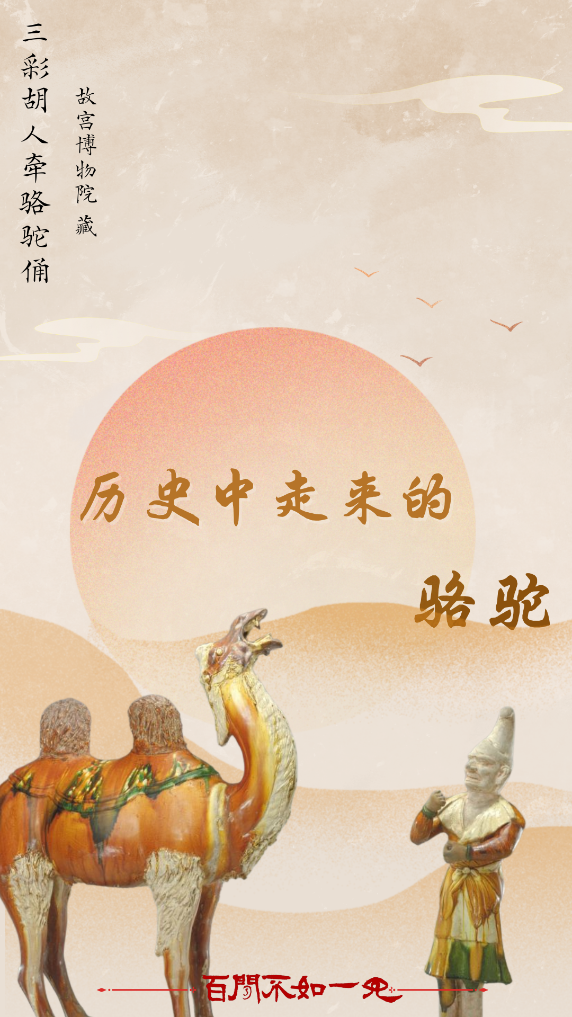 百闻不如一见｜行走在世界史中的骆驼