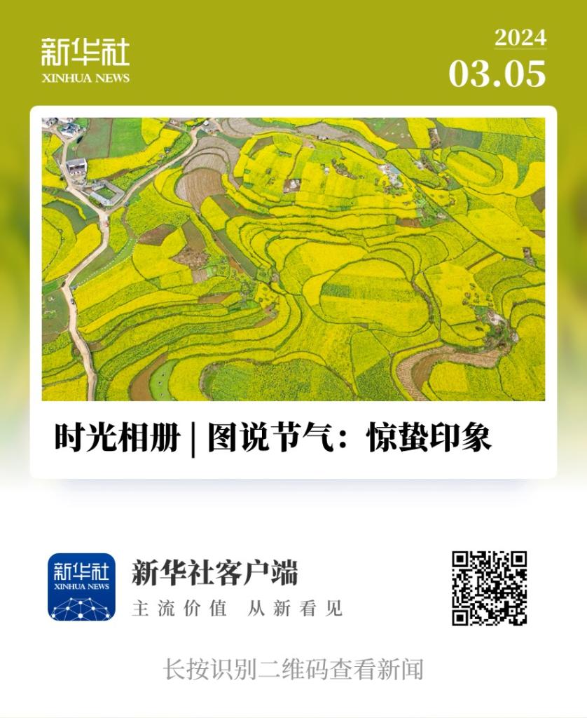 时光相册 | 图说节气：春分印象