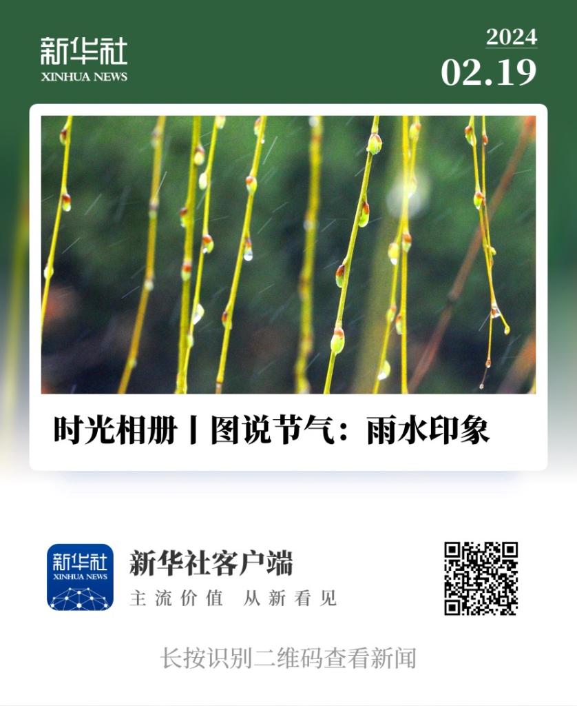 时光相册 | 图说节气：春分印象