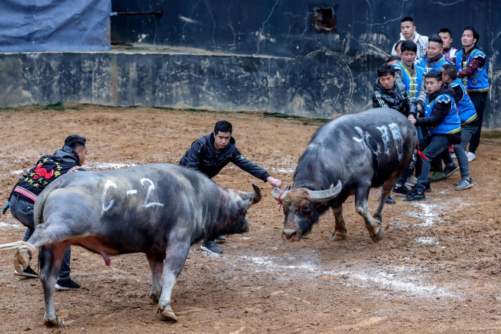时光相册 | 图说节气：春分印象
