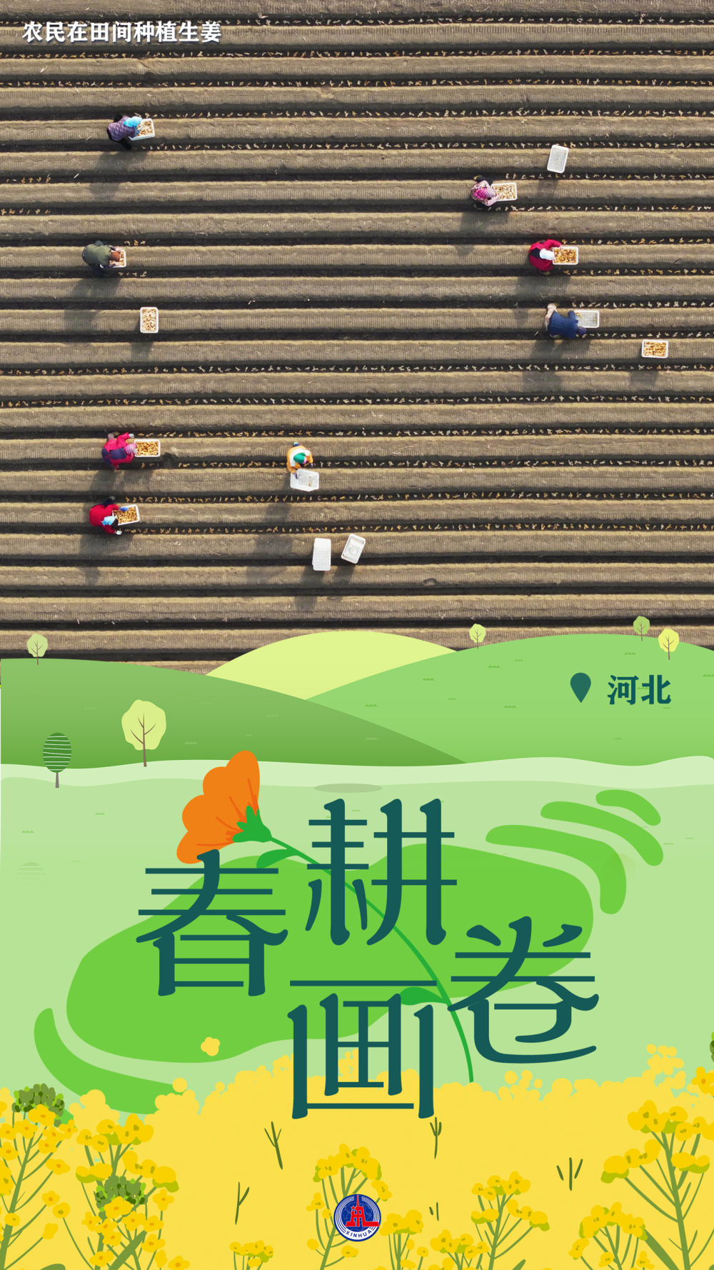 新华全媒+丨一组海报，带您云赏春耕美景