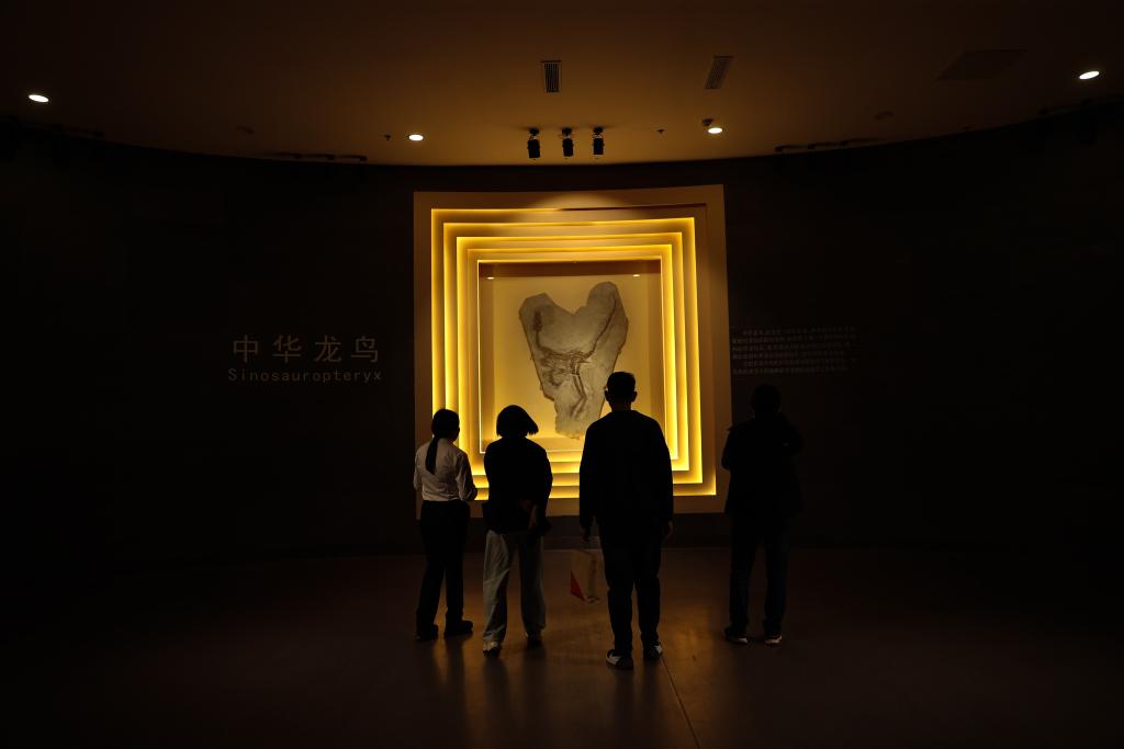 文旅新探｜打卡古城朝阳：深藏市井的16座“宝藏”博物馆