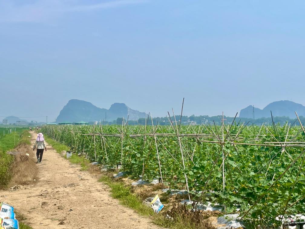 广西贺州预制菜叫响粤港澳大湾区