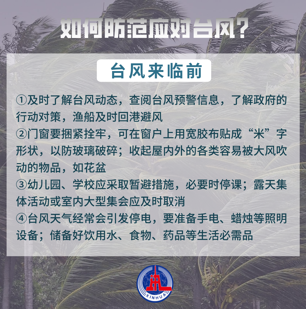 聚焦防汛抗洪丨台风来袭，如何防范应对？