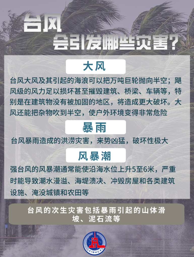 聚焦防汛抗洪丨台风来袭，如何防范应对？