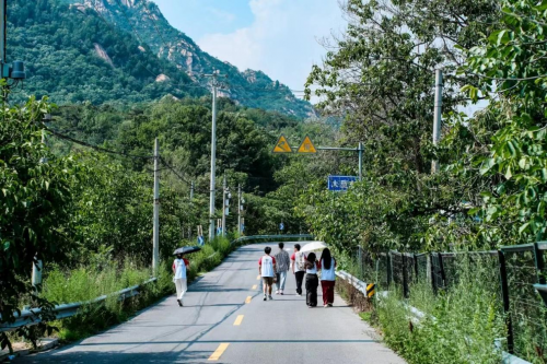 北京科技大学科工视界文脉传承社会实践团——科工半夏乡村振兴实践团：红色文化之旅与文创实践