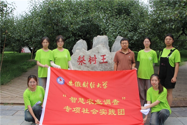 乡村振兴谱新篇，智慧农业共发展——安徽财经大学“同心振乡”三下乡社会实践