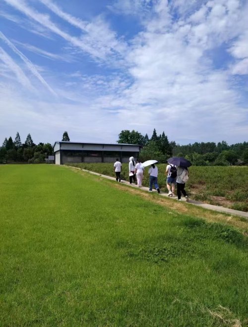 千年稻梦铸就乡村振兴——湖南大学“千年稻梦助农行”三下乡纪实