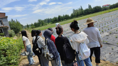 千年稻梦铸就乡村振兴——湖南大学“千年稻梦助农行”三下乡纪实