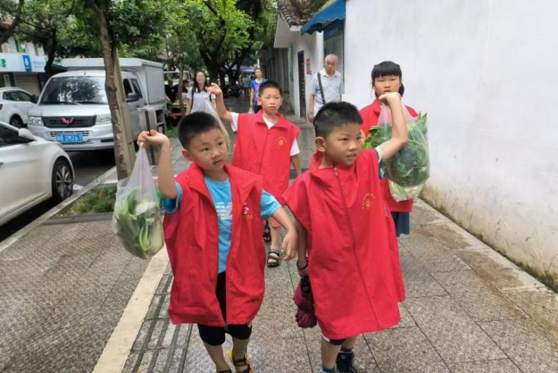 龙泉街道百工堰社区 绿动未来，从"光盘"到"沃土"——共筑环保 生活新风尚活动