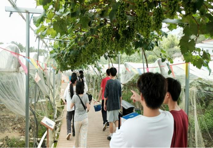 佛大学子深入园区，科技下乡挺膺担当