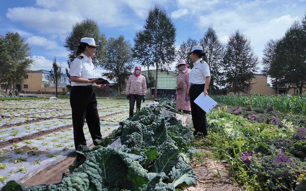 青藏高原冷凉蔬菜何以走热？