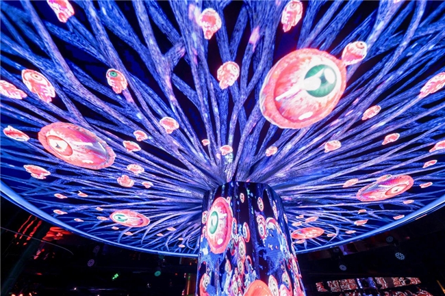  重庆武隆启明东方星聚城十一启幕