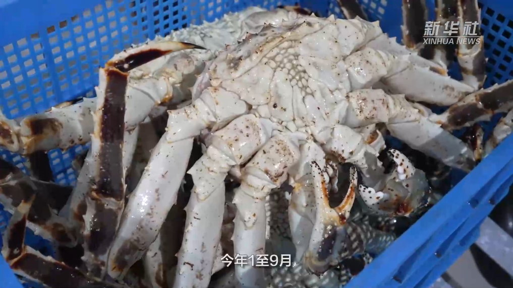 新疆首次通过陆路方式进口北冰洋鲜活海产品