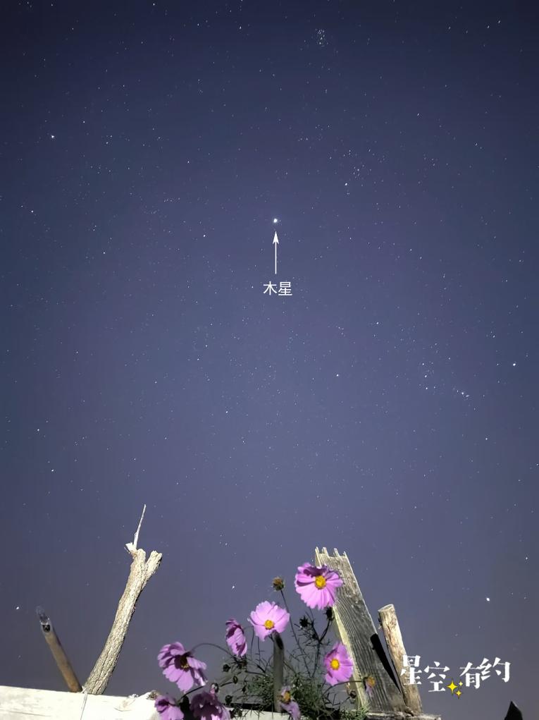 星空有约｜冬季天空亮星最多