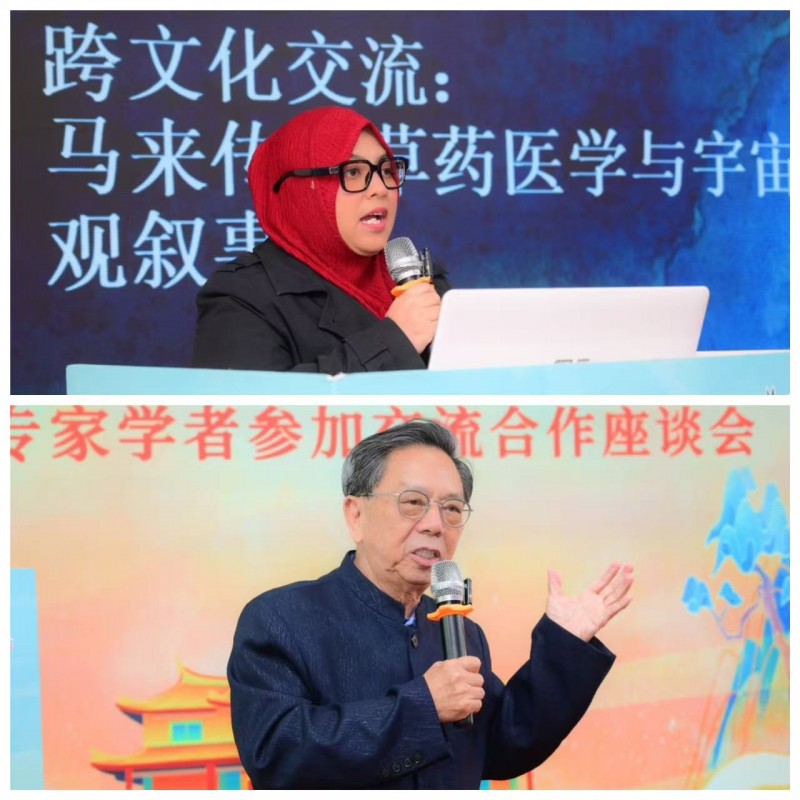 非遗1+1:首届保生青草药文化节在厦门举行
