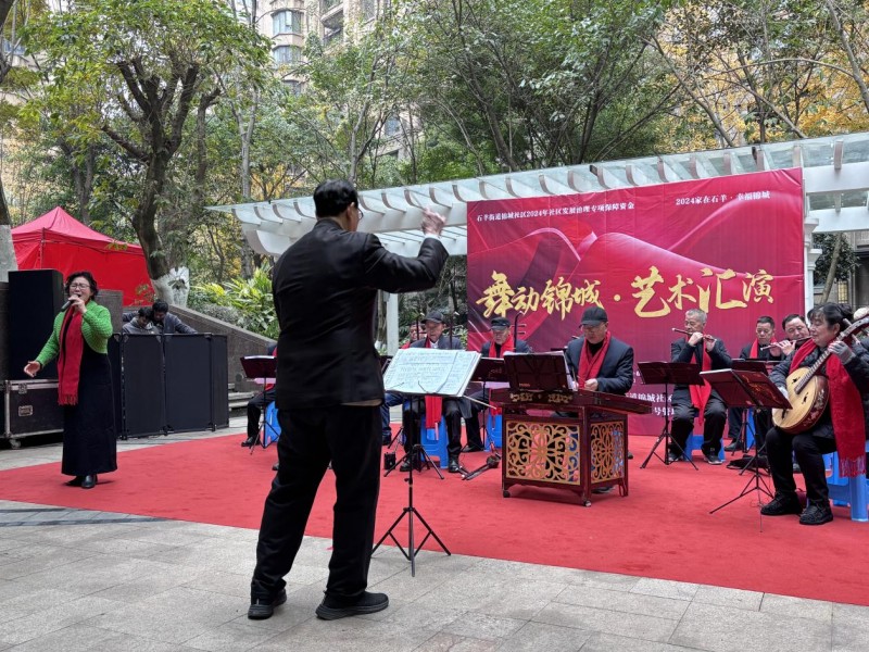 成都高新区石羊街道锦城社区举行舞动锦城·艺术汇演